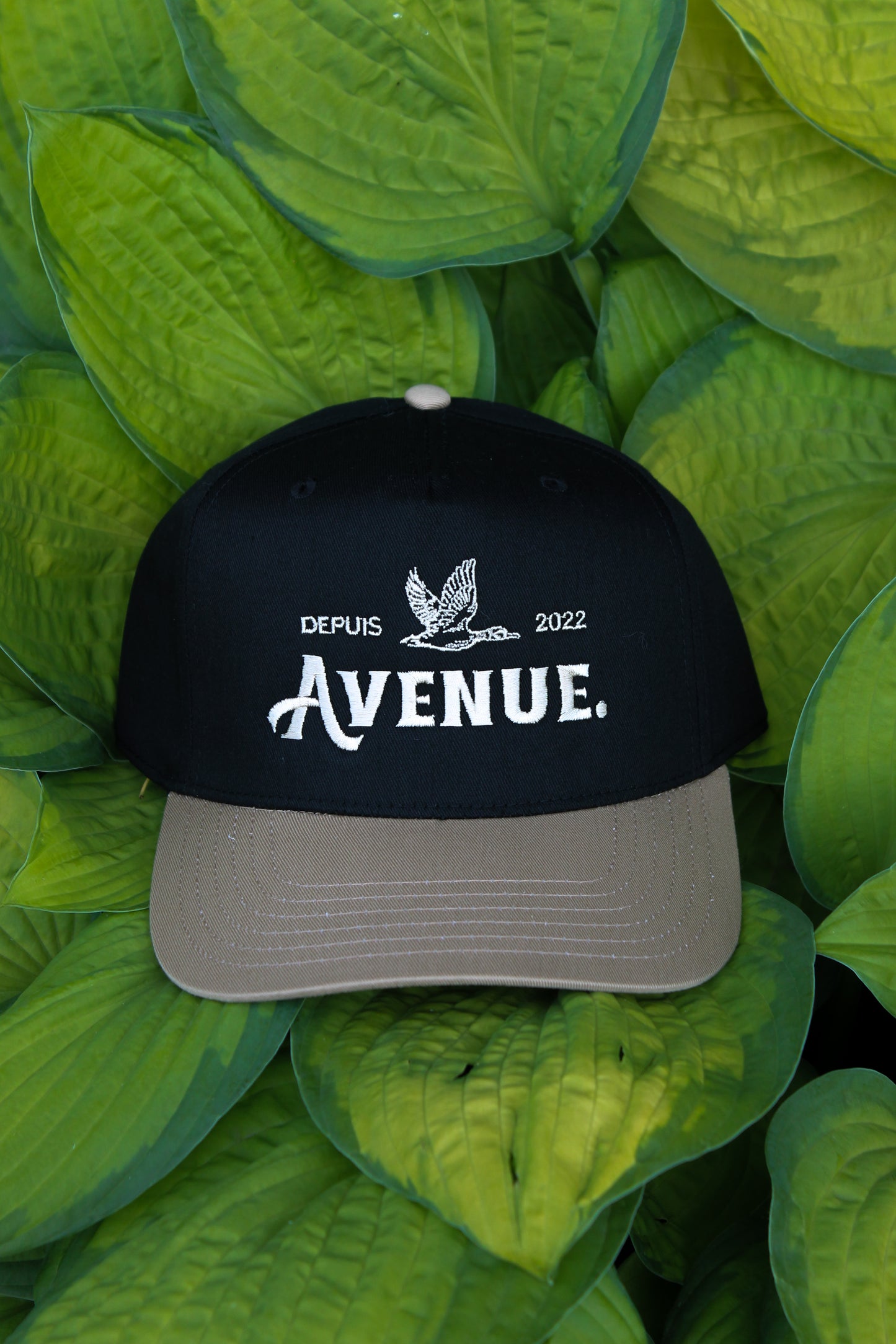 Avenue Duck Black & Khaki Cap