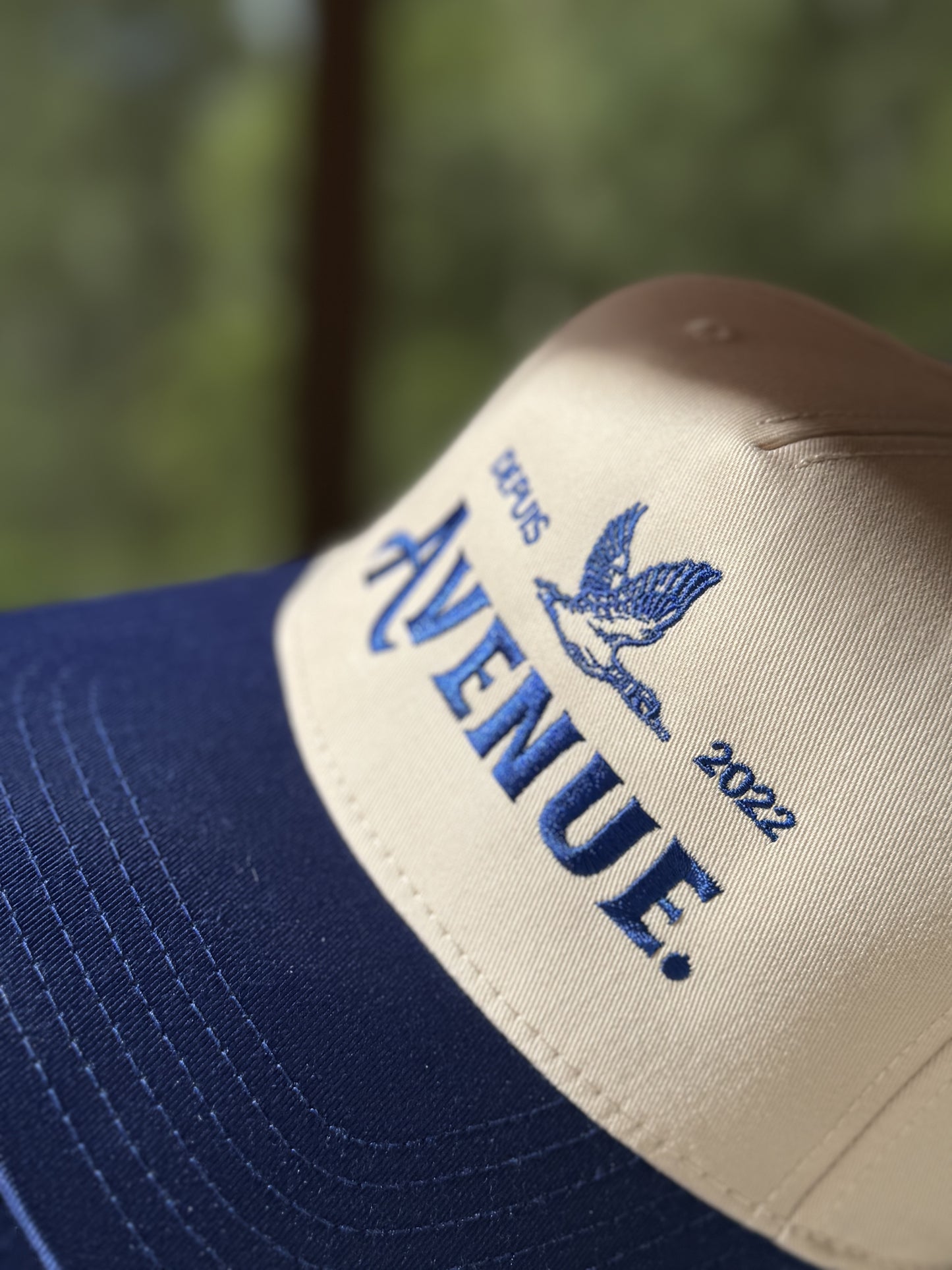 Avenue Duck Blue Cap