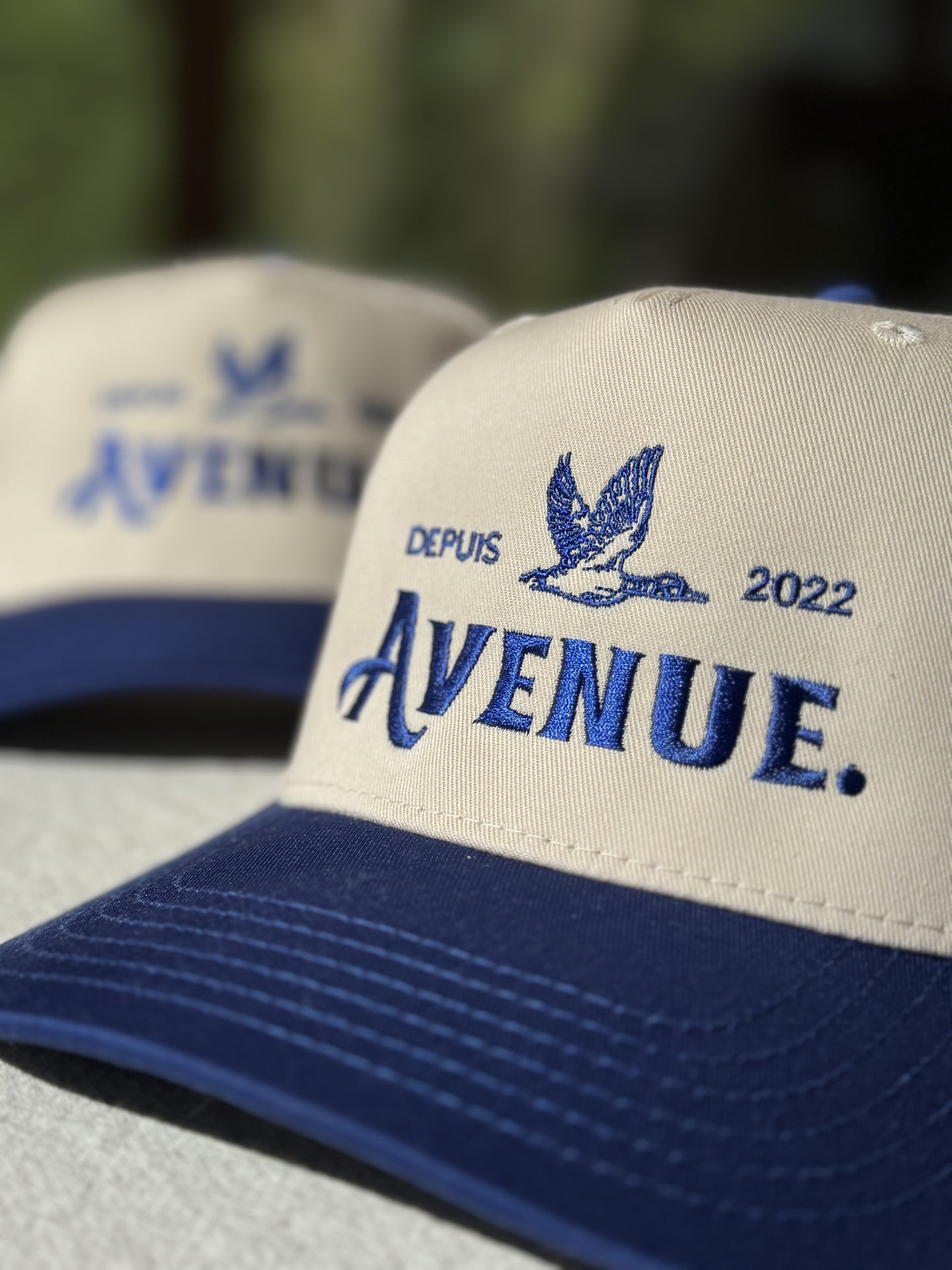 Avenue Duck Blue Cap