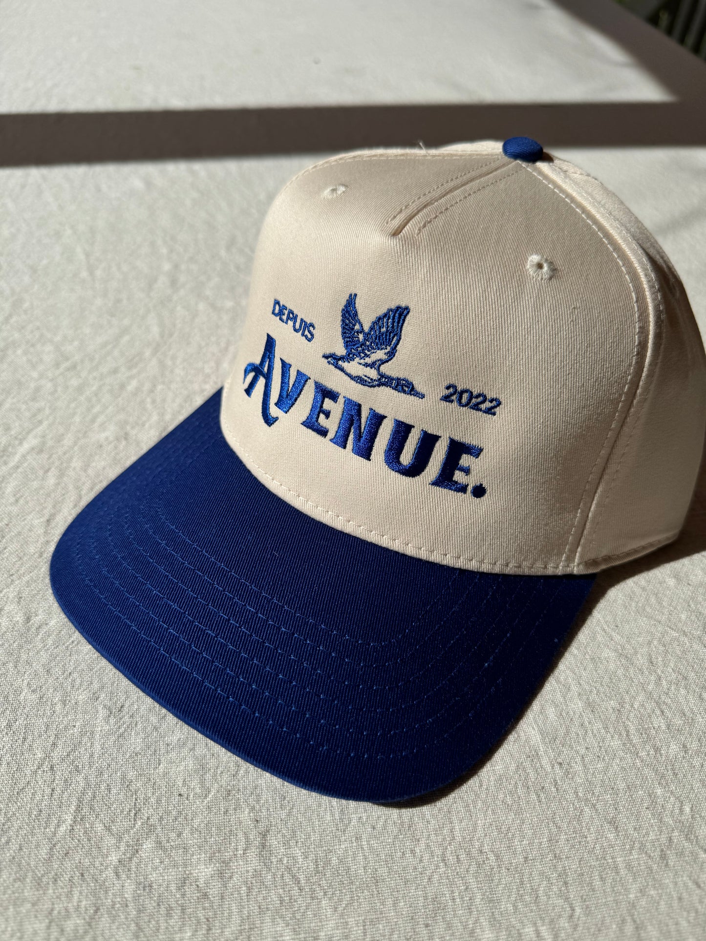 Avenue Duck Blue Cap