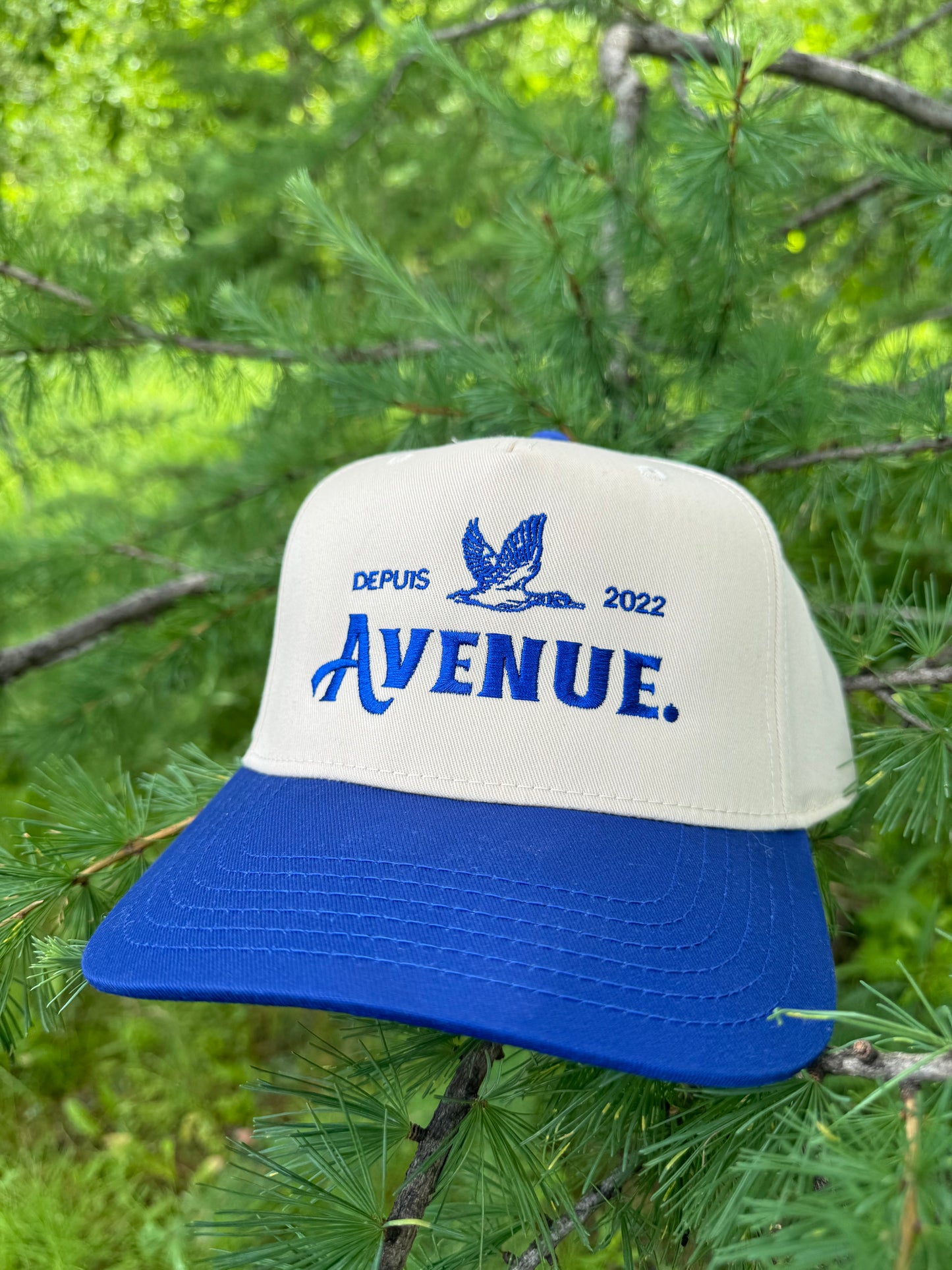 Avenue Duck Blue Cap